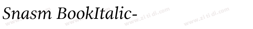 Snasm BookItalic字体转换